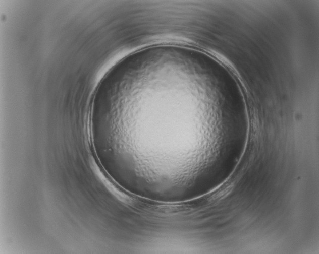 X0000056031391200509021810