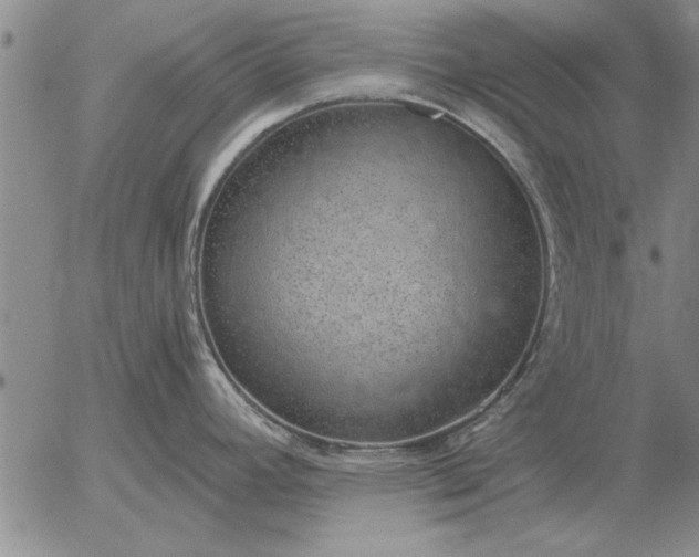 X0000056031392200509021810