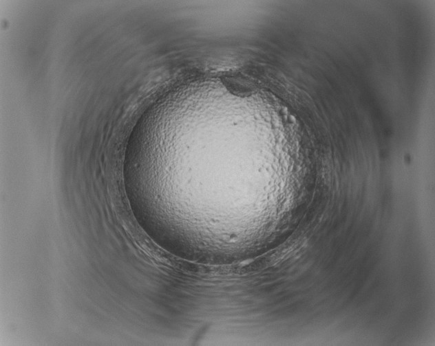 X0000056031393200509021809