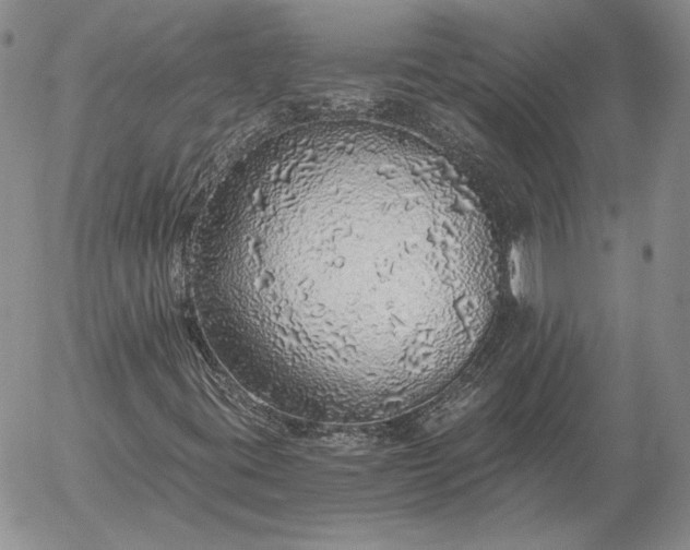 X0000056031395200509021809