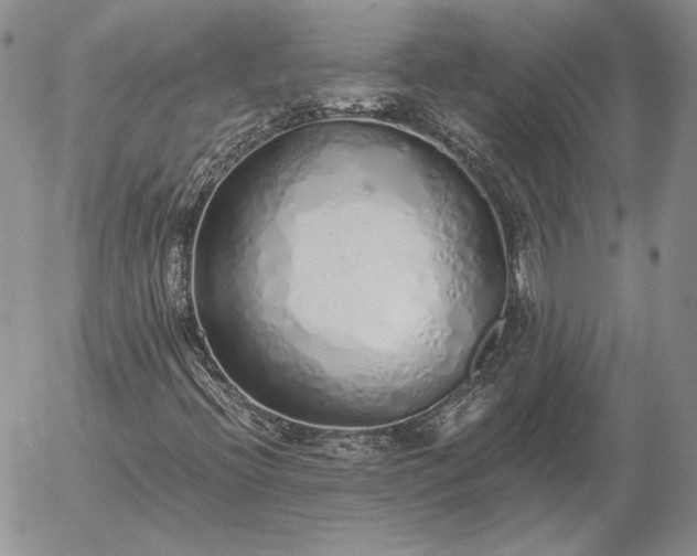 X0000056031396200509021809