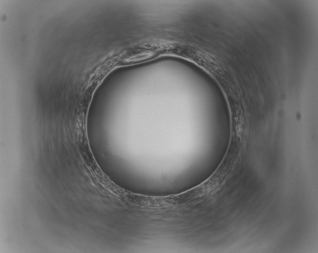 X0000056031397200509021809