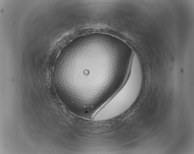 X0000056031398200509021809