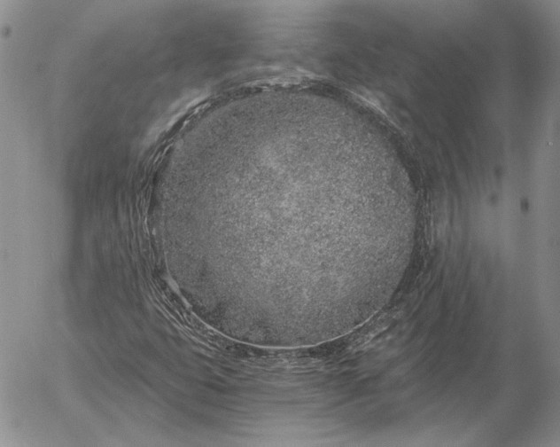 X0000056031399200509021810