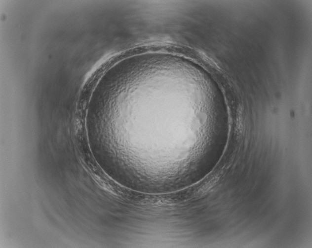 X0000056031400200509021810