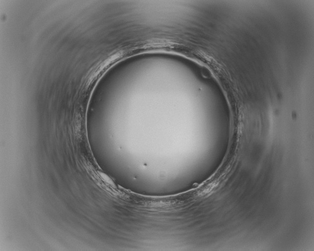 X0000056031401200509021810