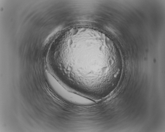 X0000056031403200509021810