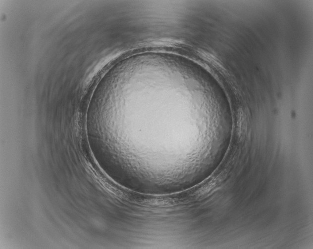 X0000056031404200509021810