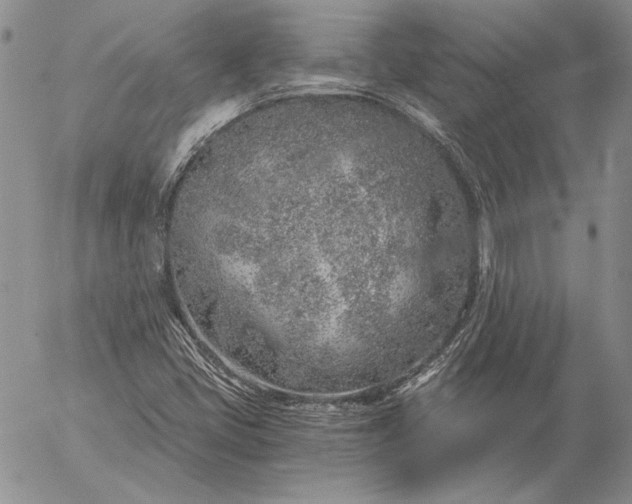 X0000056031405200509021810