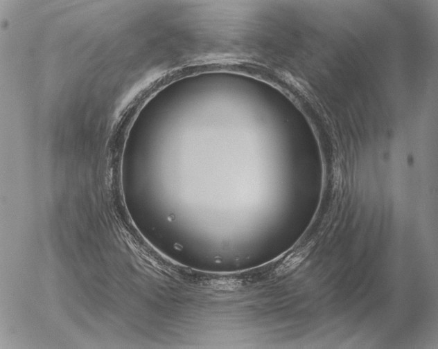 X0000056031406200509021810