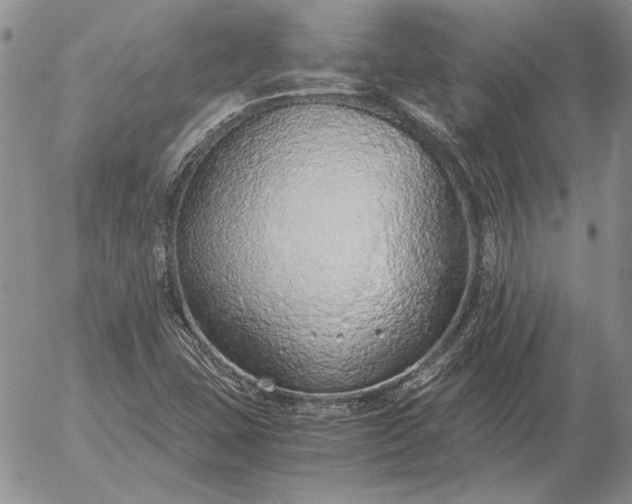 X0000056031407200509021810