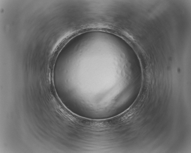 X0000056031408200509021810