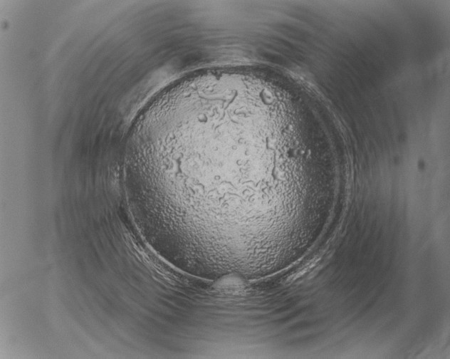 X0000056031409200509021810