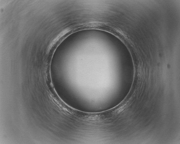 X0000056031410200509021810