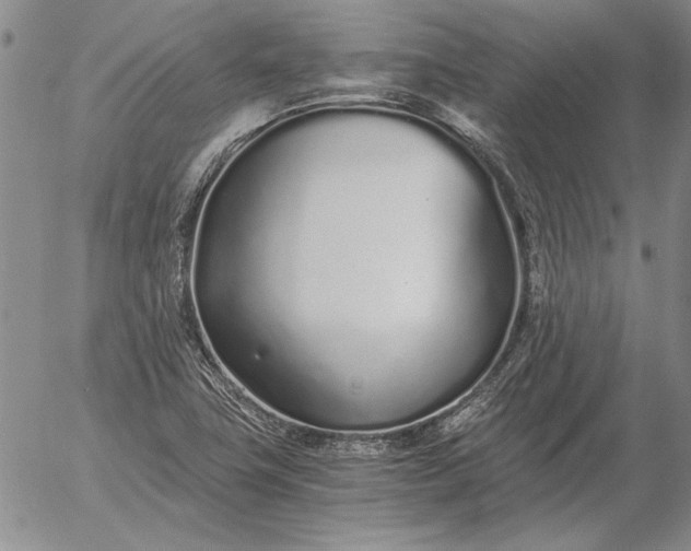 X0000056031411200509021810