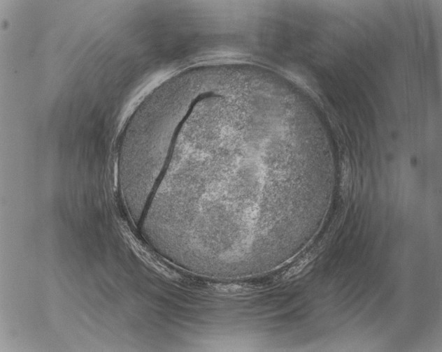 X0000056031413200509021810