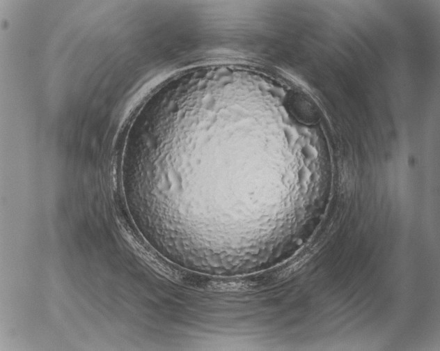 X0000056031415200509021810