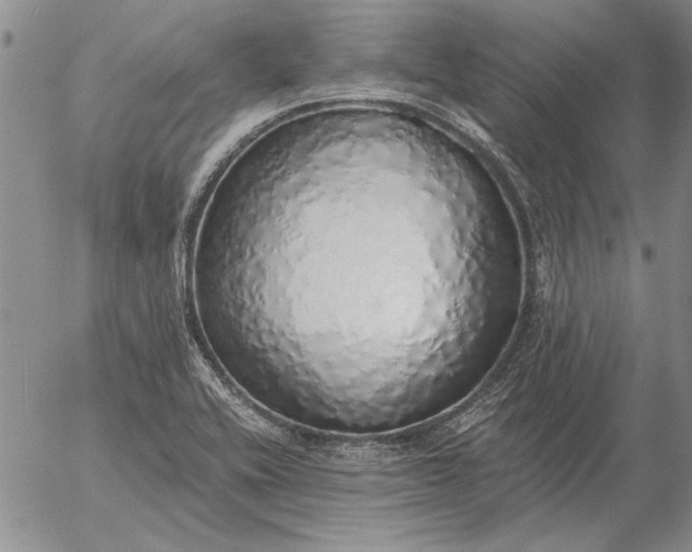 X0000056031416200509021810