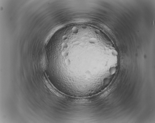 X0000056031417200509021810