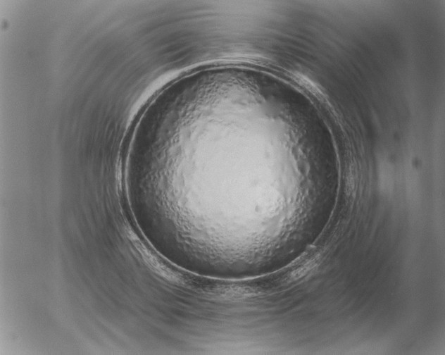 X0000056031420200509021810