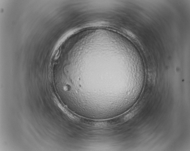 X0000056031421200509021810