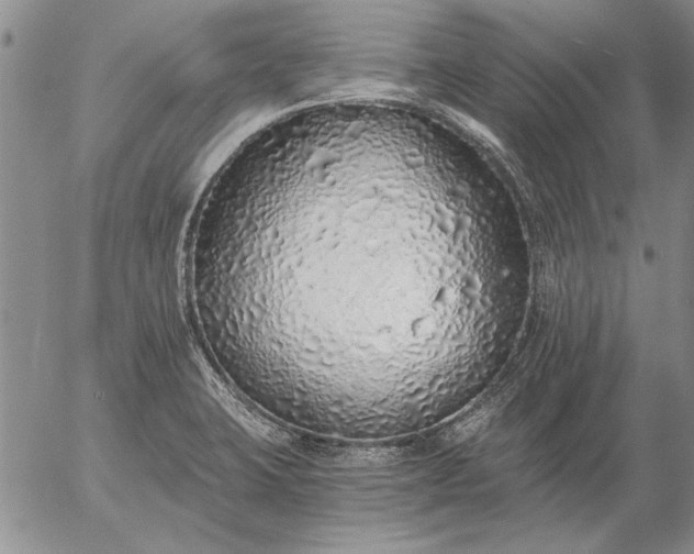 X0000056031423200509021810