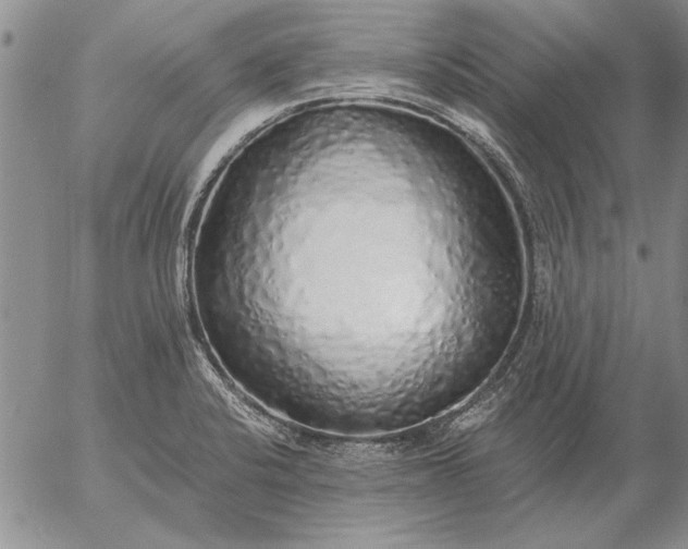 X0000056031424200509021810