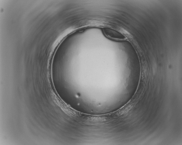 X0000056031427200509021810