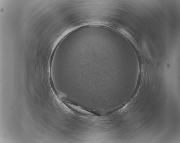 X0000056031428200509021810