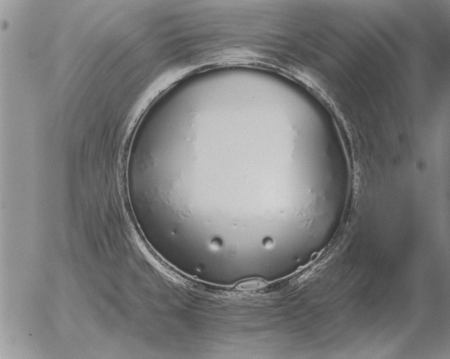 X0000056031429200509021810