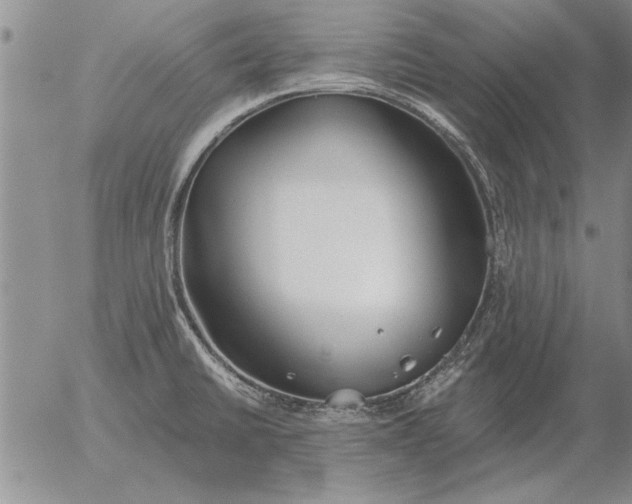 X0000056031430200509021810