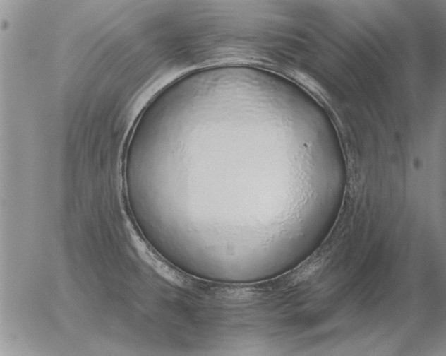 X0000056031431200509021810