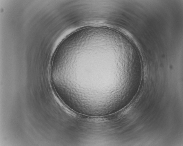 X0000056031432200509021810