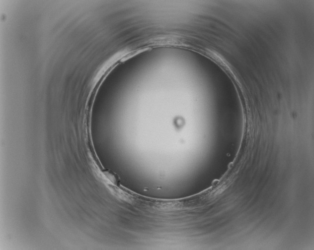 X0000056031434200509021810