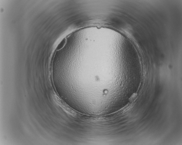 X0000056031435200509021810