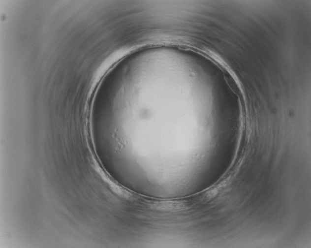 X0000056031437200509021810