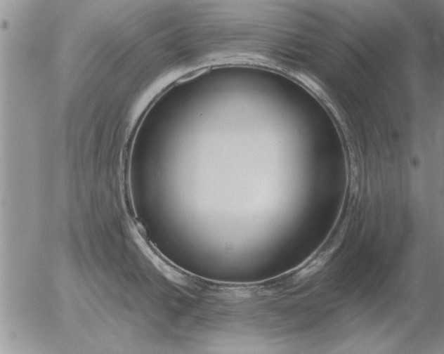 X0000056031438200509021810