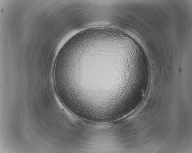 X0000056031440200509021810