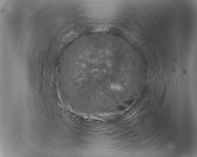 X0000056031441200509021809