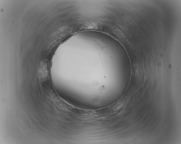 X0000056031442200509021809