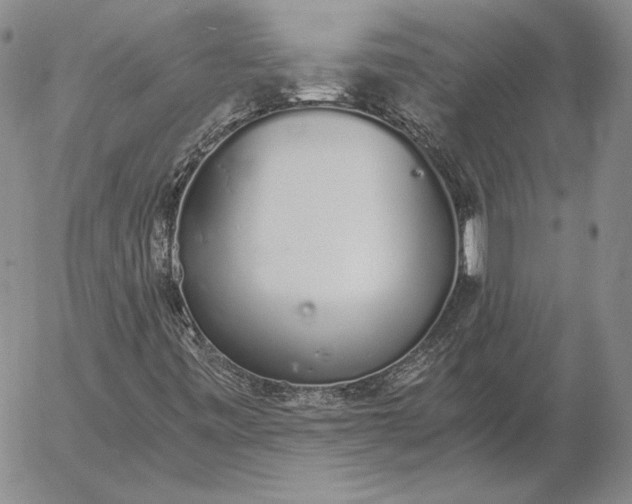 X0000056031443200509021809