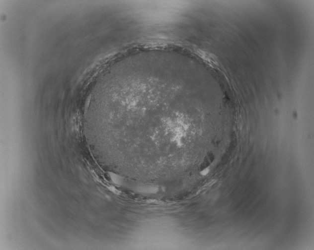 X0000056031445200509021809