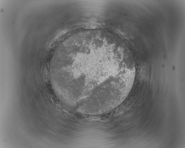 X0000056031446200509021809