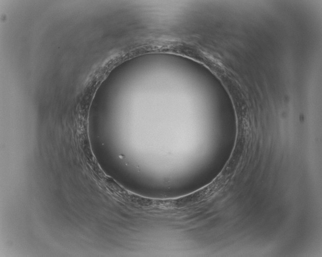 X0000056031447200509021809