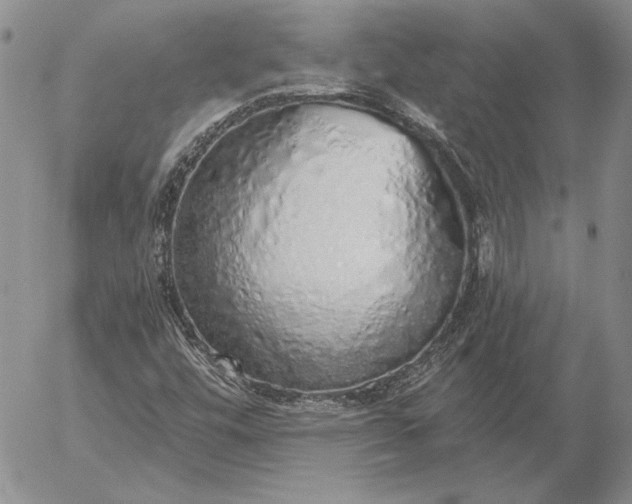 X0000056031448200509021809