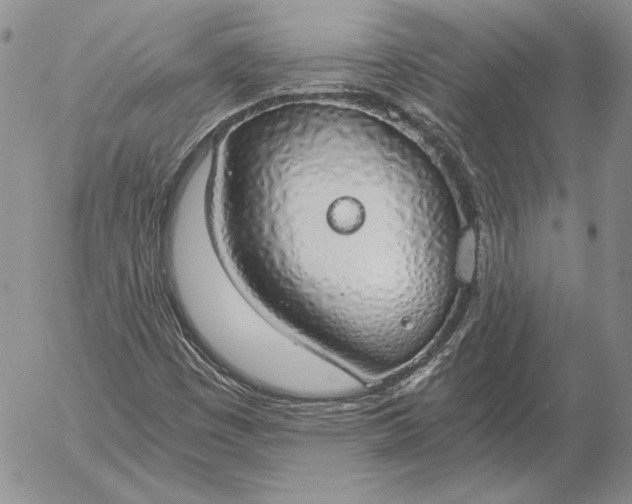 X0000056031449200509021809