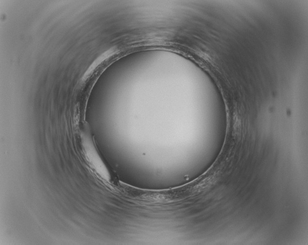 X0000056031450200509021809