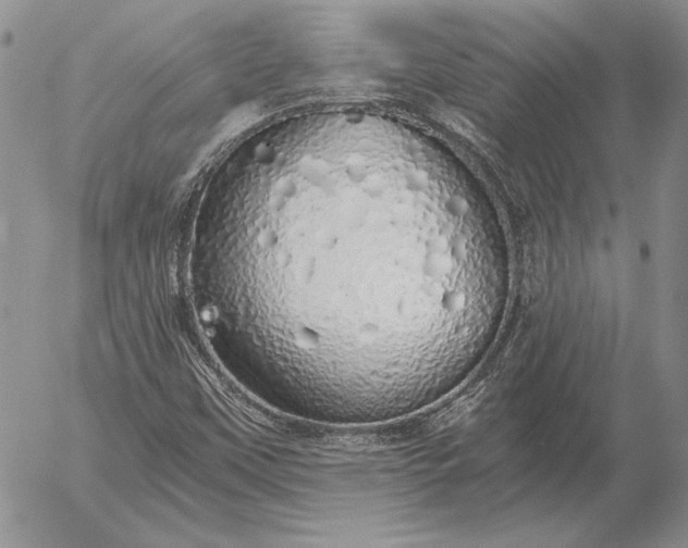 X0000056031451200509021809