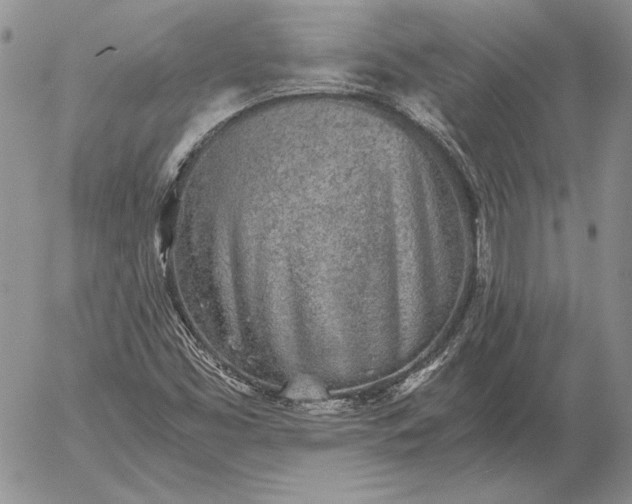 X0000056031453200509021809