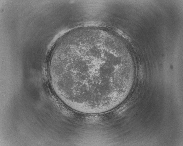 X0000056031454200509021809